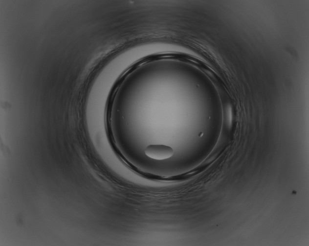 X0000090960736200708021415