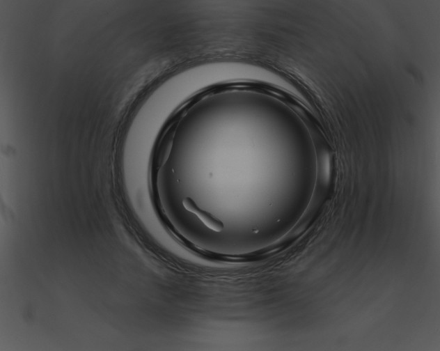 X0000090960738200708021415