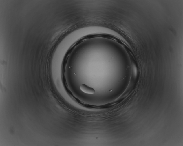 X0000090960740200708021415