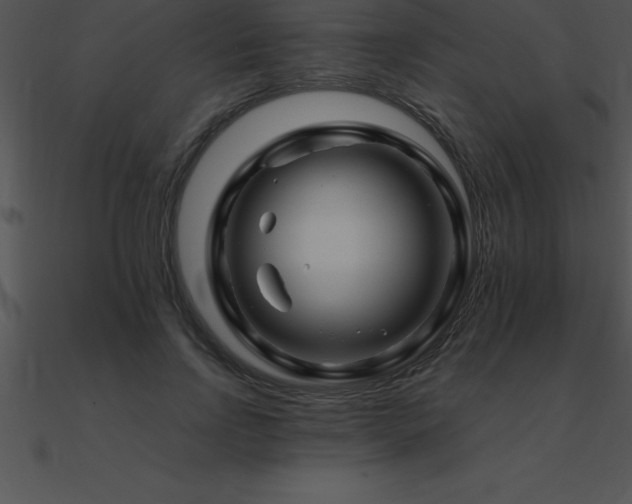 X0000090960742200708021415