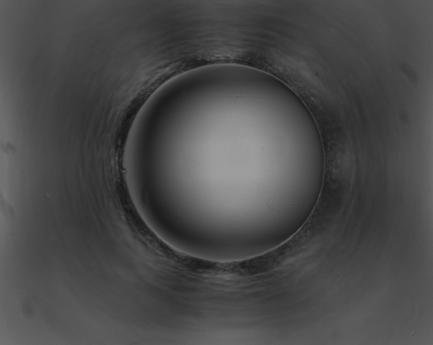 X0000090960743200708021415