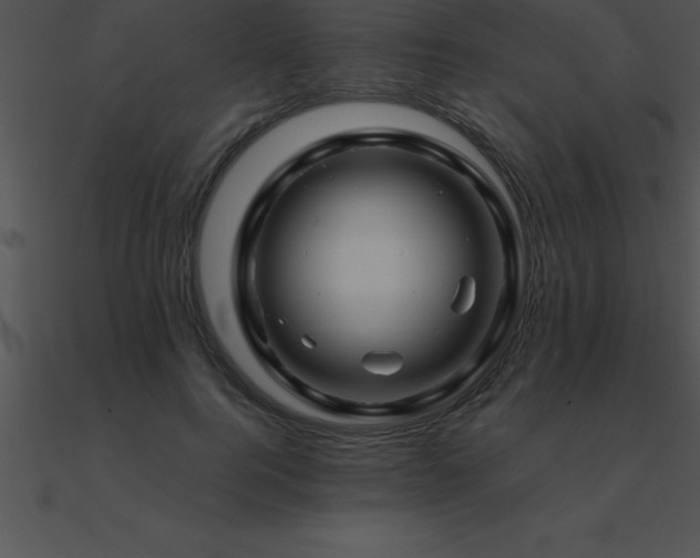 X0000090960744200708021415
