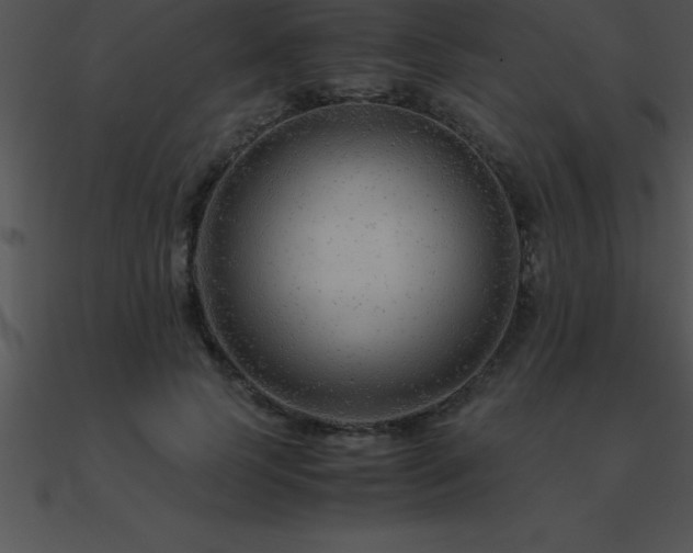 X0000090960745200708021416