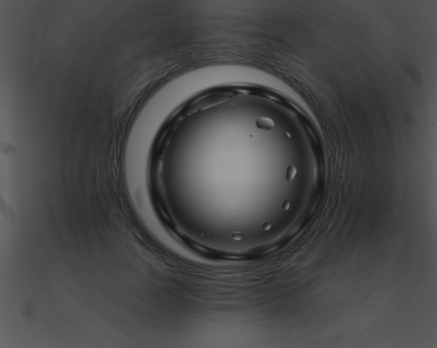 X0000090960746200708021416