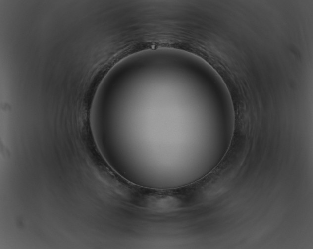 X0000090960747200708021416