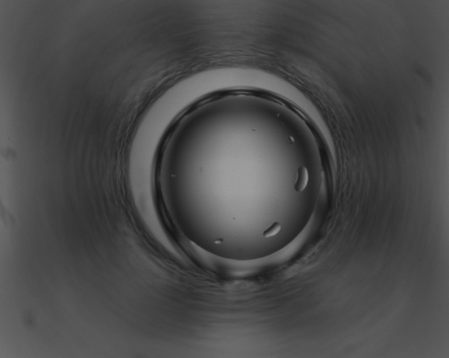 X0000090960748200708021416