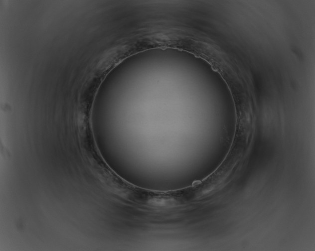 X0000090960749200708021416