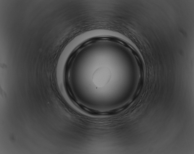 X0000090960750200708021416