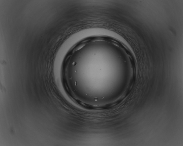 X0000090960752200708021416