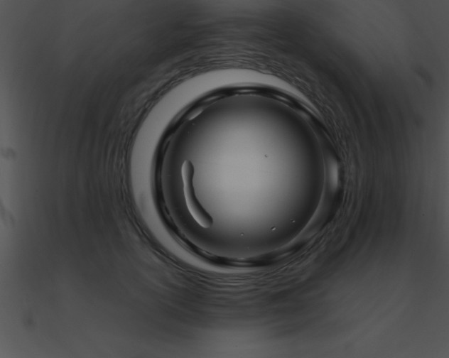 X0000090960754200708021416