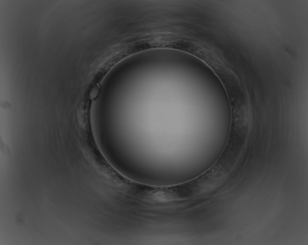 X0000090960755200708021416
