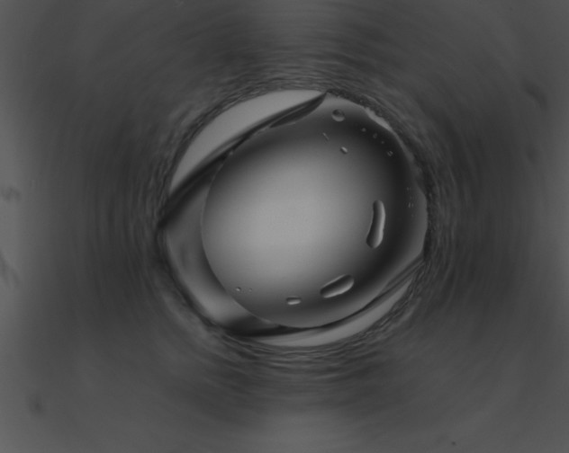 X0000090960758200708021416