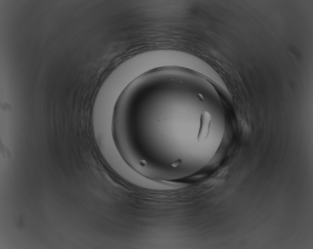 X0000090960760200708021416