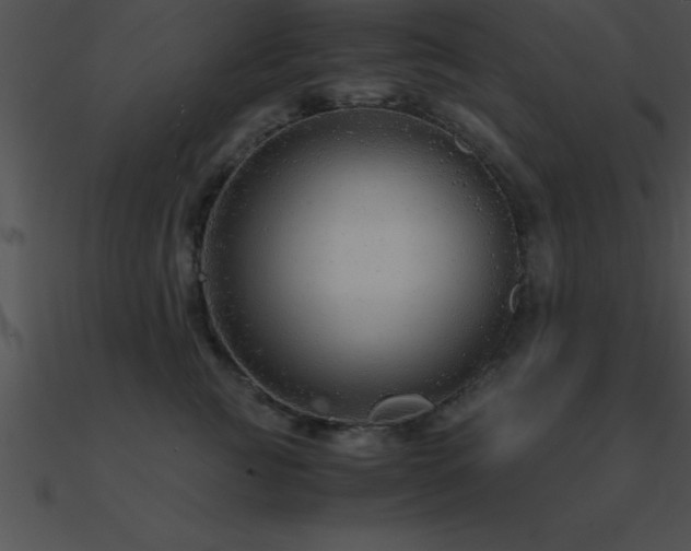 X0000090960761200708021416