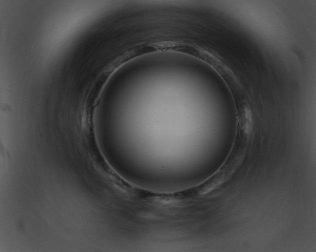 X0000090960763200708021416