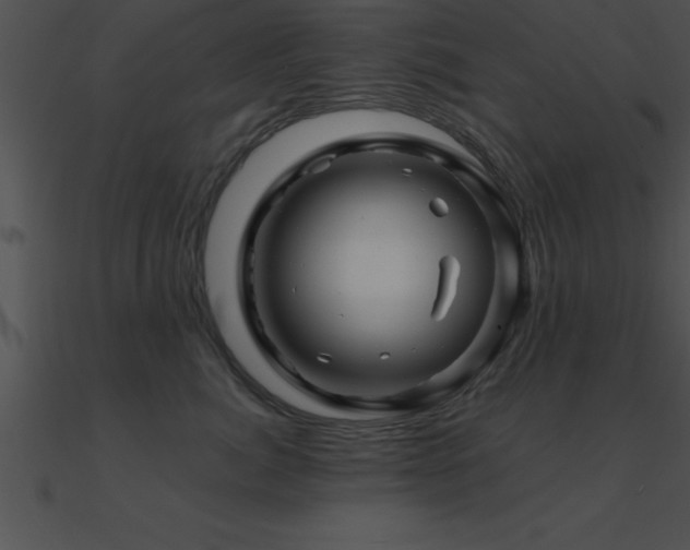 X0000090960764200708021416