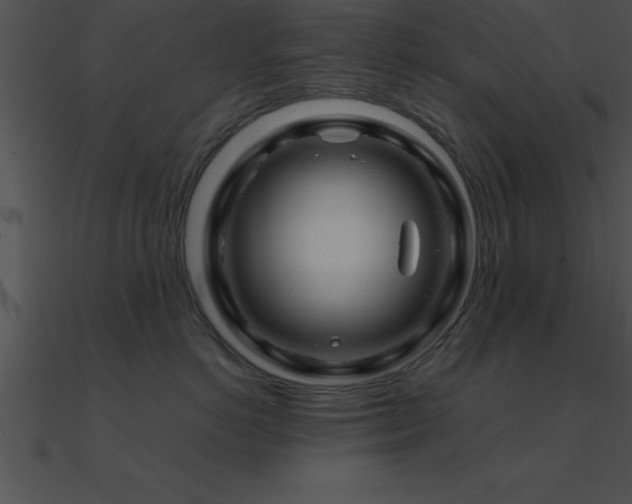 X0000090960766200708021416