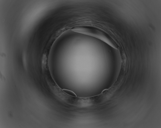 X0000090960767200708021416