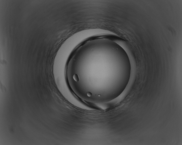 X0000090960768200708021416
