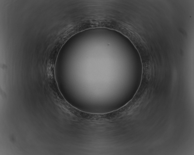 X0000090960770200708021415