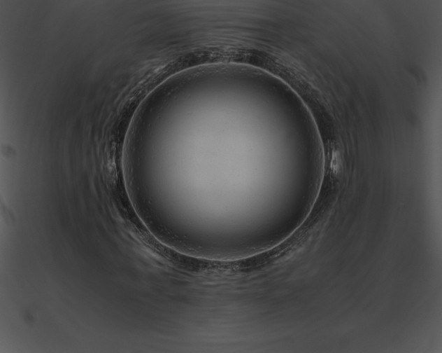 X0000090960771200708021415