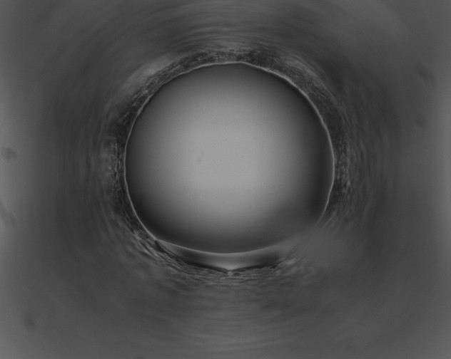 X0000090960773200708021415