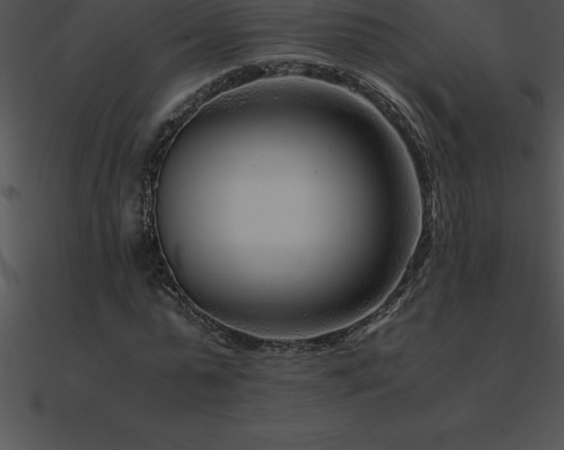 X0000090960775200708021415