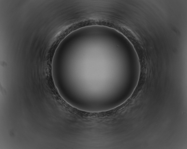 X0000090960776200708021415