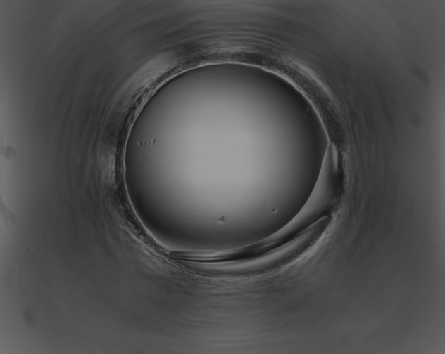 X0000090960777200708021415