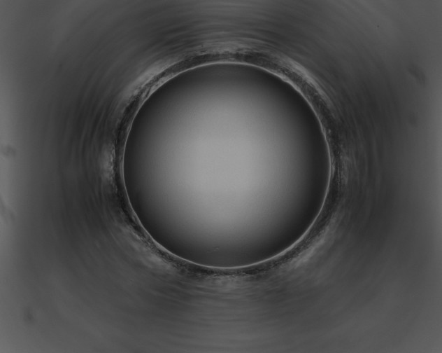 X0000090960778200708021415