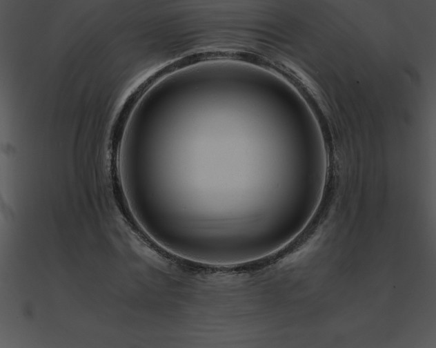 X0000090960779200708021415