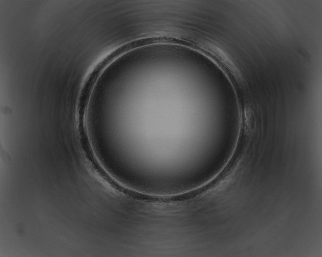X0000090960780200708021415