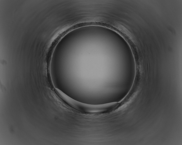 X0000090960781200708021415
