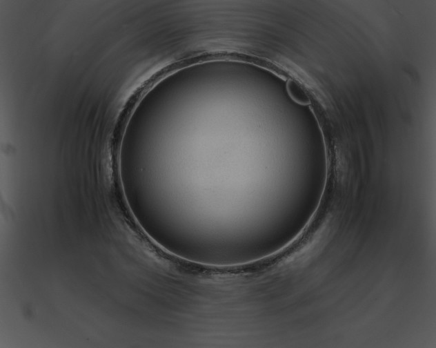 X0000090960782200708021415
