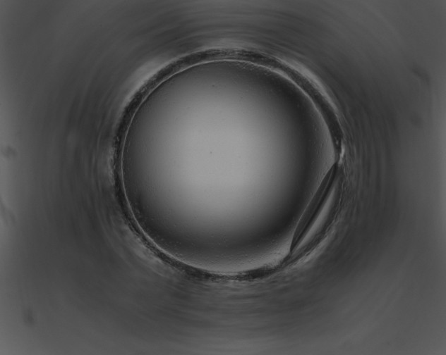 X0000090960783200708021415