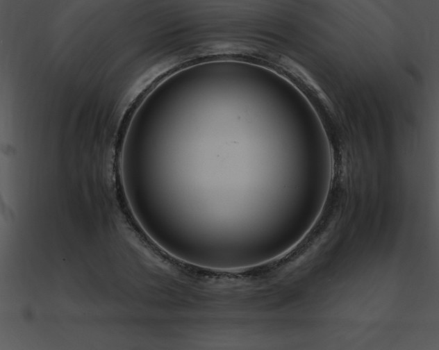 X0000090960786200708021415