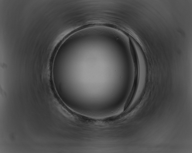 X0000090960787200708021415