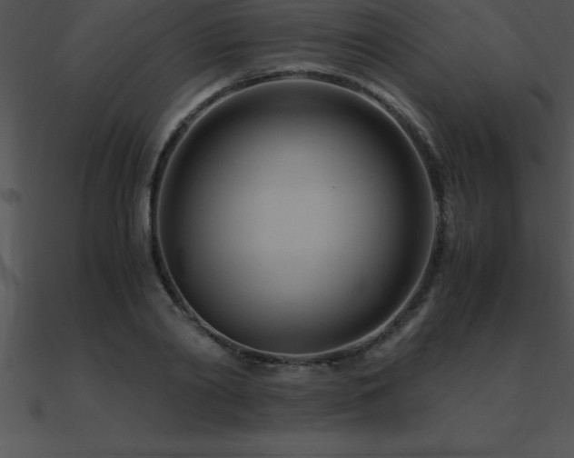 X0000090960790200708021415