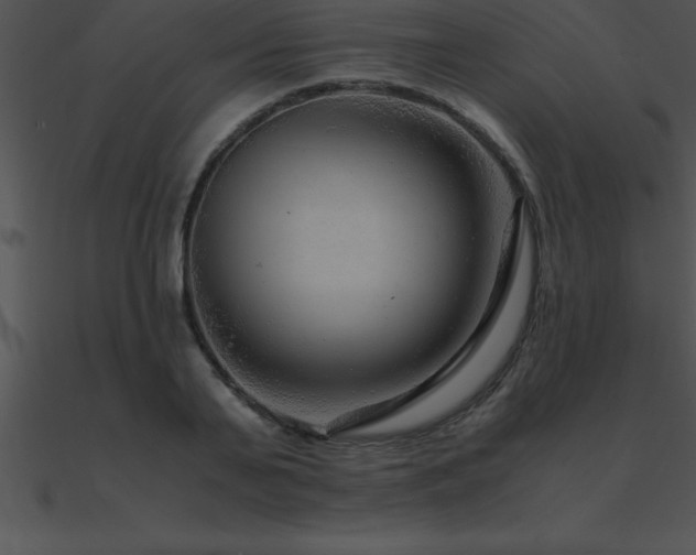 X0000090960791200708021415
