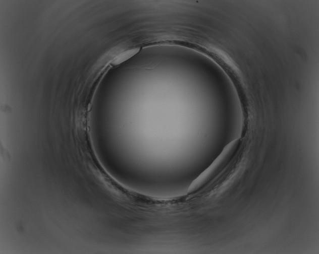 X0000090960793200708021415