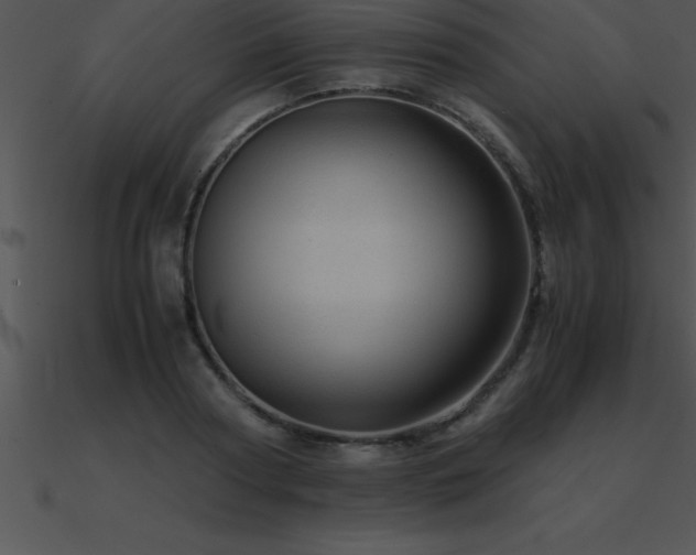 X0000090960794200708021415