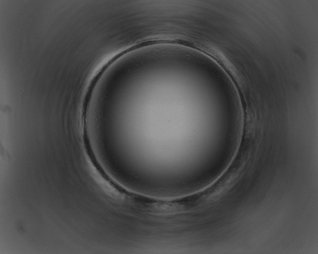 X0000090960795200708021415