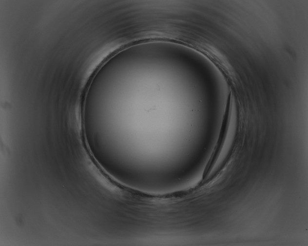 X0000090960796200708021415