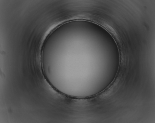 X0000090960800200708021415