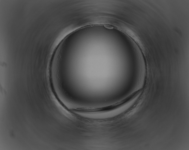 X0000090960803200708021415