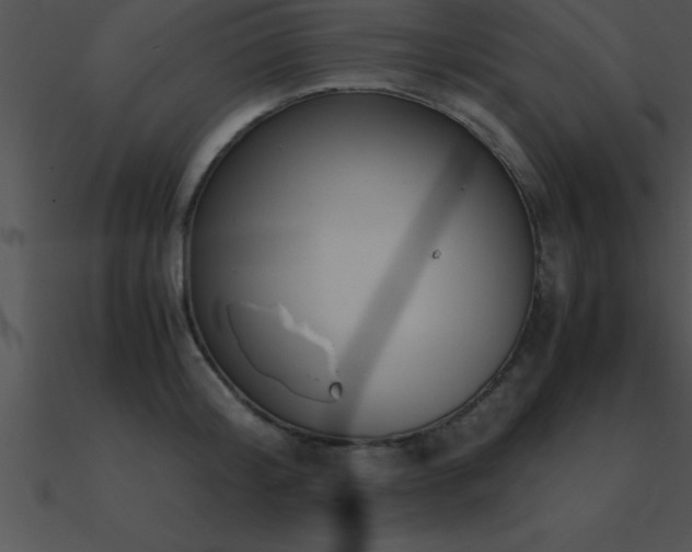 X0000090960804200708021415
