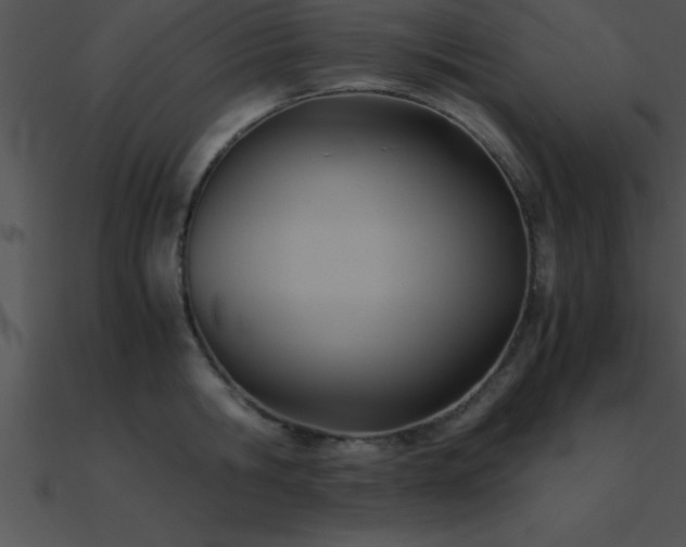 X0000090960806200708021415