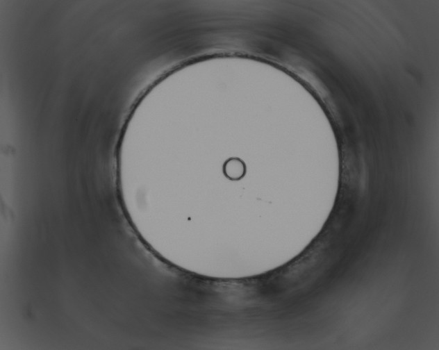 X0000090960807200708021415