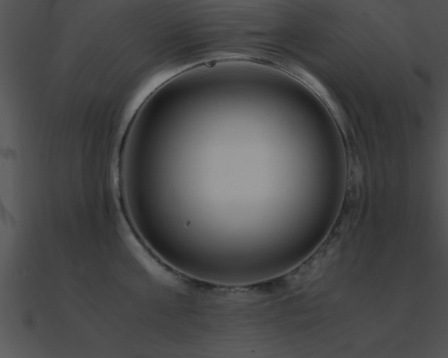 X0000090960811200708021415