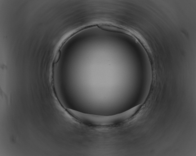 X0000090960815200708021415